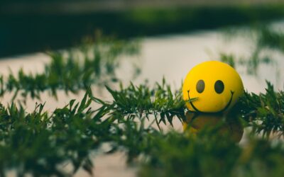 De ondernemersmindset: meer dan een KvK-nummer